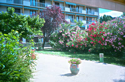 Le jardin sud de Moun Oustaou
